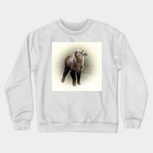 Baby takin Crewneck Sweatshirt